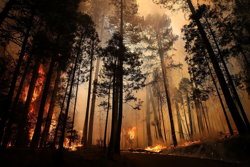 Illustration for article titled California Burning: Dramatic Photos Of Firefighters In Action